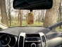 Cat Air Freshener