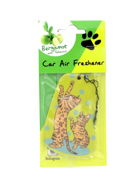 Bengal Cat