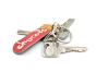 Chocolate Skateboard Keychain