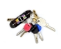 Almost Skateboards Deck Keychain