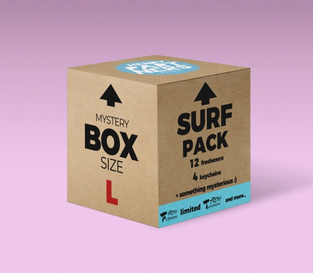 Surfing Mystery Box